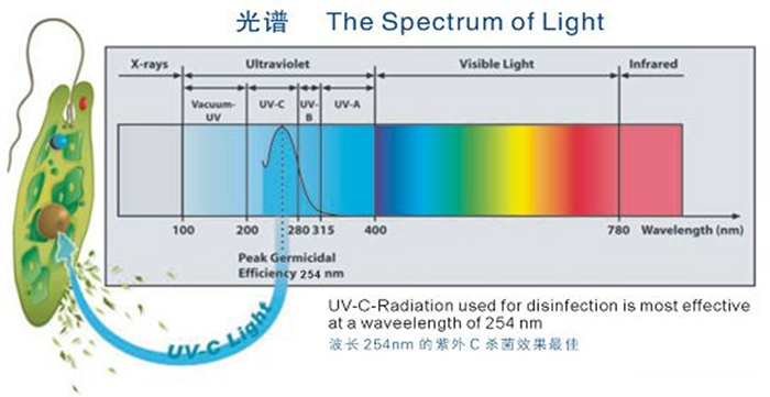 科普！紫外線殺菌燈對人體影響及正確使用方法